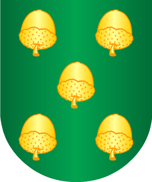 ESCUDO SIGUIENTE
