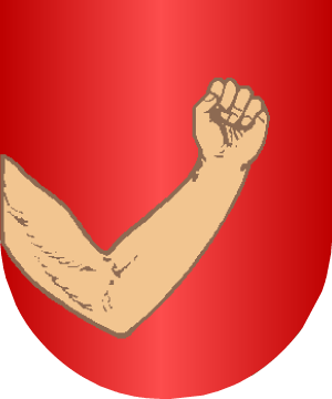 ESCUDO ALEATORIO