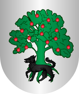 ESCUDO SIGUIENTE