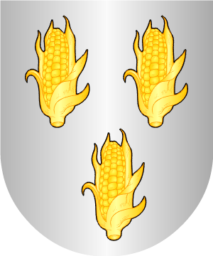 ESCUDO ALEATORIO