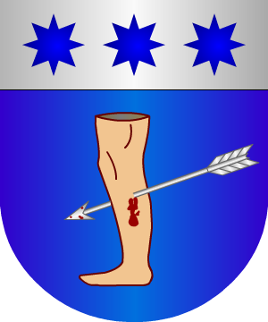 ESCUDO PRECEDENTE
