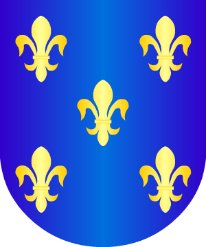 ESCUDO ALEATORIO