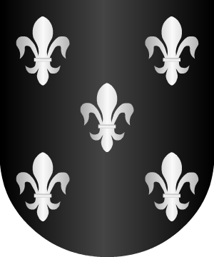 ESCUDO ALEATORIO