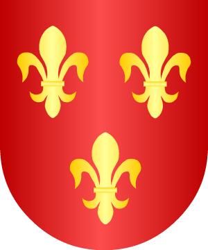 ESCUDO SIGUIENTE