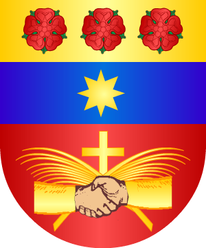 ESCUDO ALEATORIO