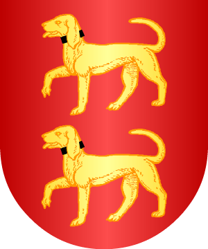 ESCUDO ALEATORIO