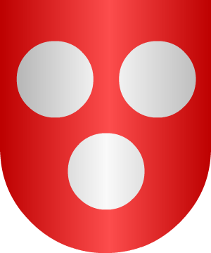 ESCUDO SIGUIENTE