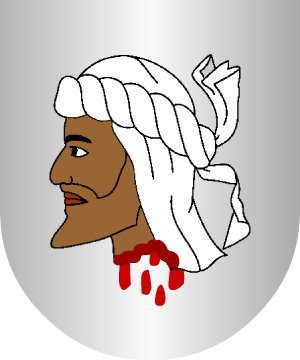 ESCUDO ALEATORIO