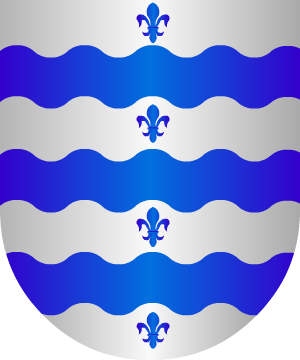ESCUDO ALEATORIO