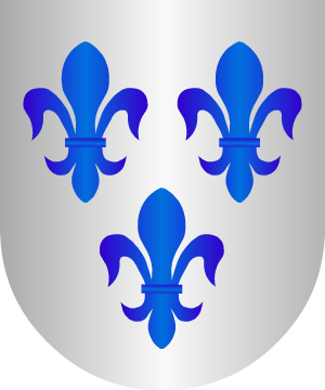 ESCUDO SIGUIENTE