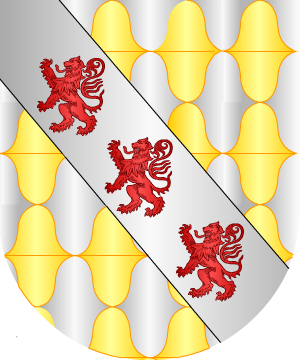 ESCUDO ALEATORIO