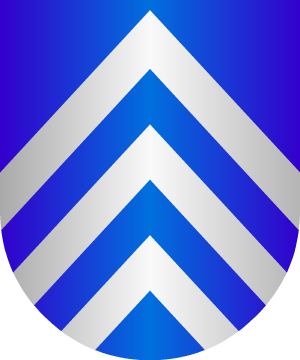 ESCUDO ALEATORIO