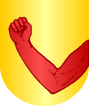 ESCUDO ALEATORIO