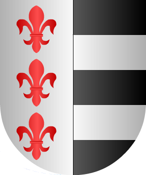 ESCUDO ALEATORIO