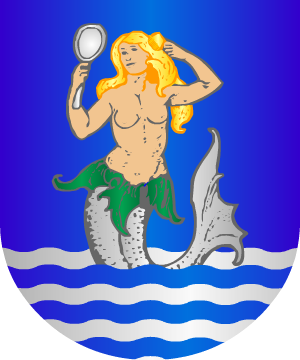 ESCUDO ALEATORIO