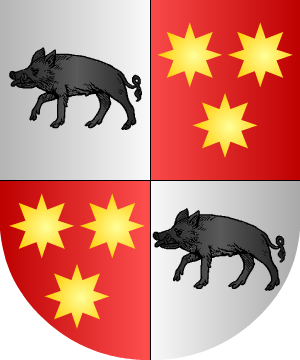 ESCUDO SIGUIENTE