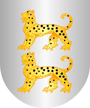 ESCUDO ALEATORIO