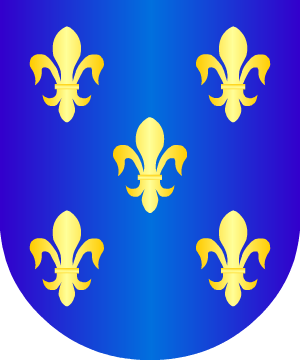 ESCUDO ALEATORIO