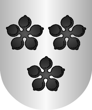 ESCUDO SIGUIENTE