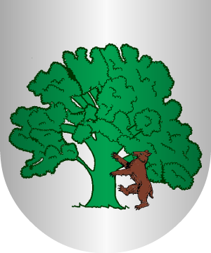ESCUDO SIGUIENTE