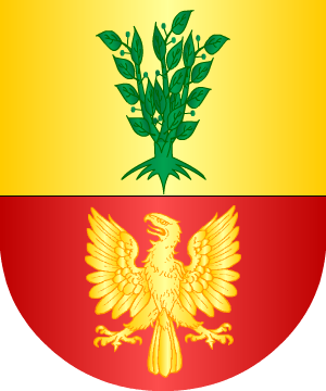 ESCUDO SIGUIENTE
