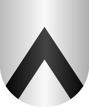 ESCUDO SIGUIENTE