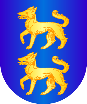 ESCUDO ALEATORIO