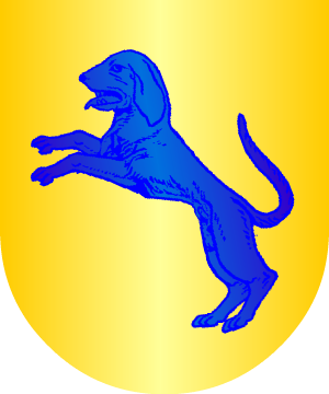 ESCUDO SIGUIENTE