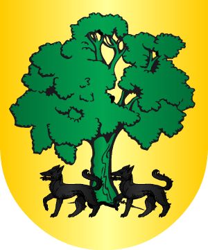 ESCUDO ALEATORIO