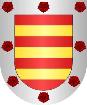ESCUDO SIGUIENTE