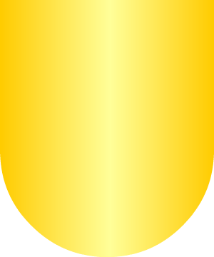 ESCUDO SIGUIENTE