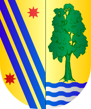 ESCUDO SIGUIENTE