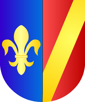 ESCUDO SIGUIENTE