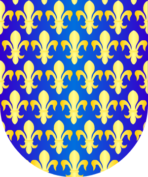 ESCUDO SIGUIENTE