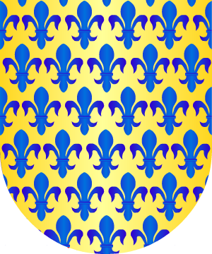 ESCUDO SIGUIENTE