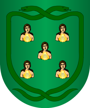 ESCUDO ALEATORIO