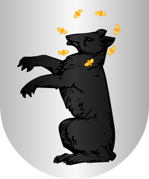 ESCUDO PRECEDENTE