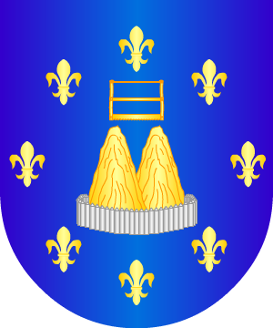 ESCUDO SIGUIENTE