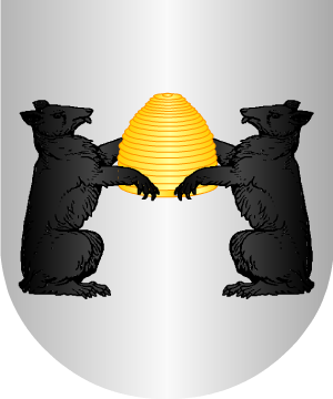 ESCUDO SIGUIENTE