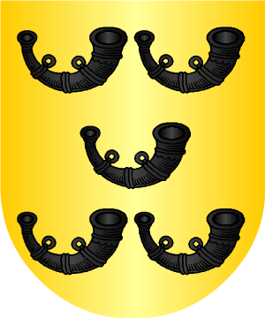 ESCUDO ALEATORIO