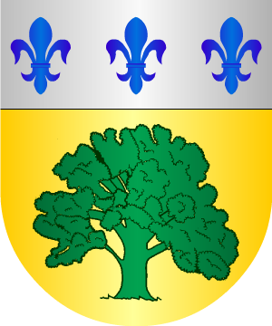 ESCUDO SIGUIENTE