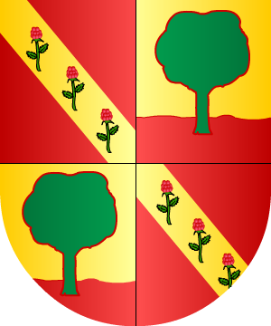 ESCUDO SIGUIENTE