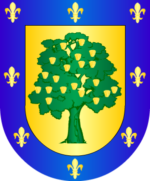 ESCUDO SIGUIENTE