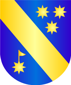 ESCUDO PRECEDENTE