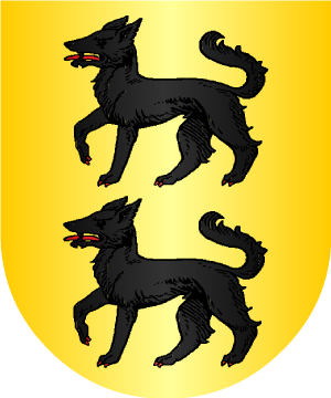 ESCUDO SIGUIENTE