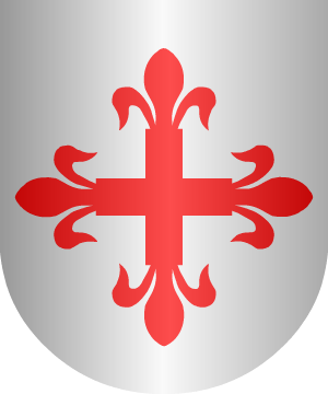 ESCUDO ALEATORIO