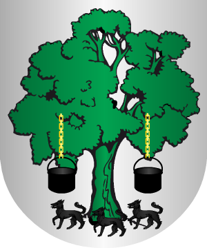 ESCUDO PRECEDENTE