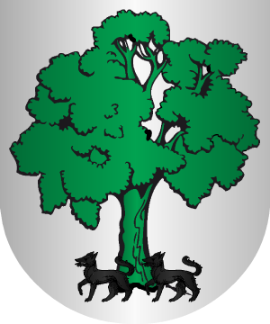 ESCUDO ALEATORIO