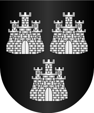 ESCUDO SIGUIENTE