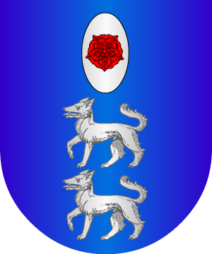 ESCUDO ALEATORIO